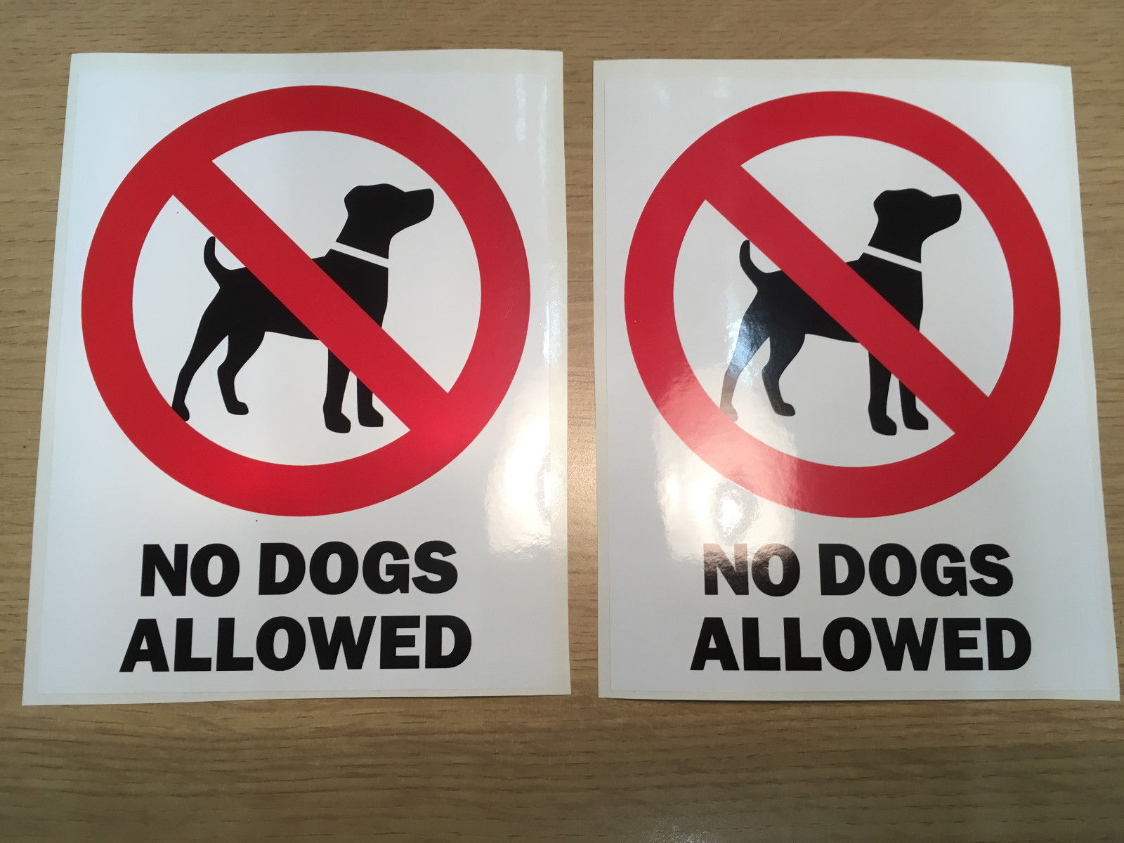 Dogs allowed. No Dogs. Наклейка с собакой нельзя. Наклейка на дверь с собакой нельзя. Что нельзя собакам.